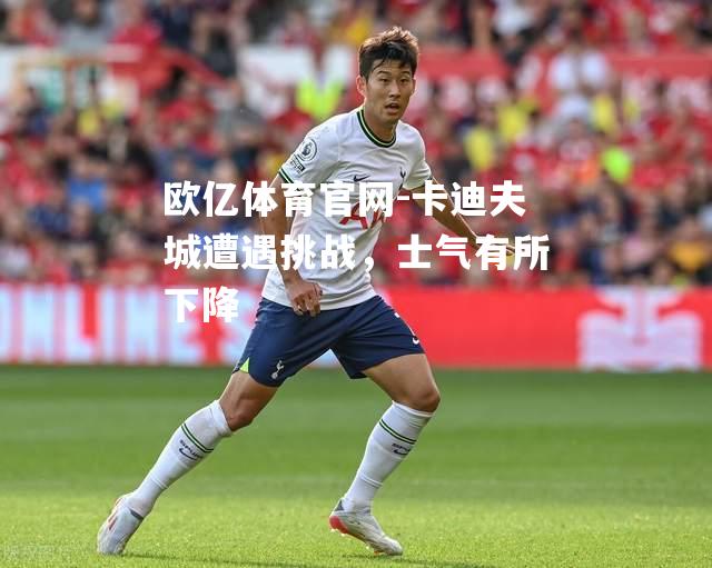 卡迪夫城遭遇挑战，士气有所下降